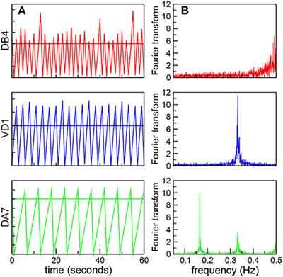 Emergent dynamics in a robotic model based on the Caenorhabditis elegans connectome